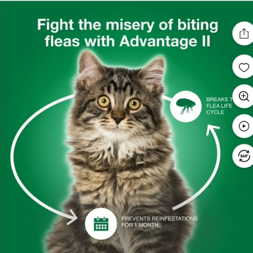 NWT Elanco Advantage II Large Cat Flea Treatment – 2 Doses